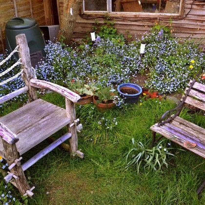 ਘਰ ਬਾਗਬਾਨੀ