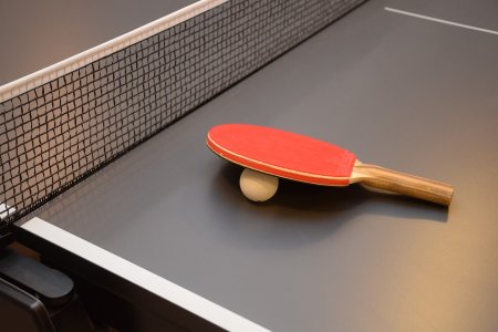 Table Tennis Net