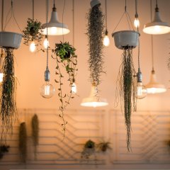 Decor Lights